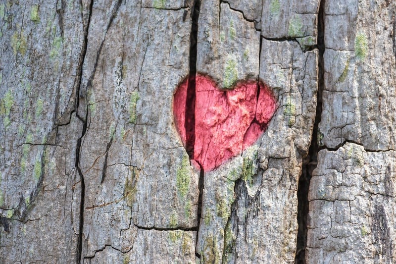 Loving-Kindness Image